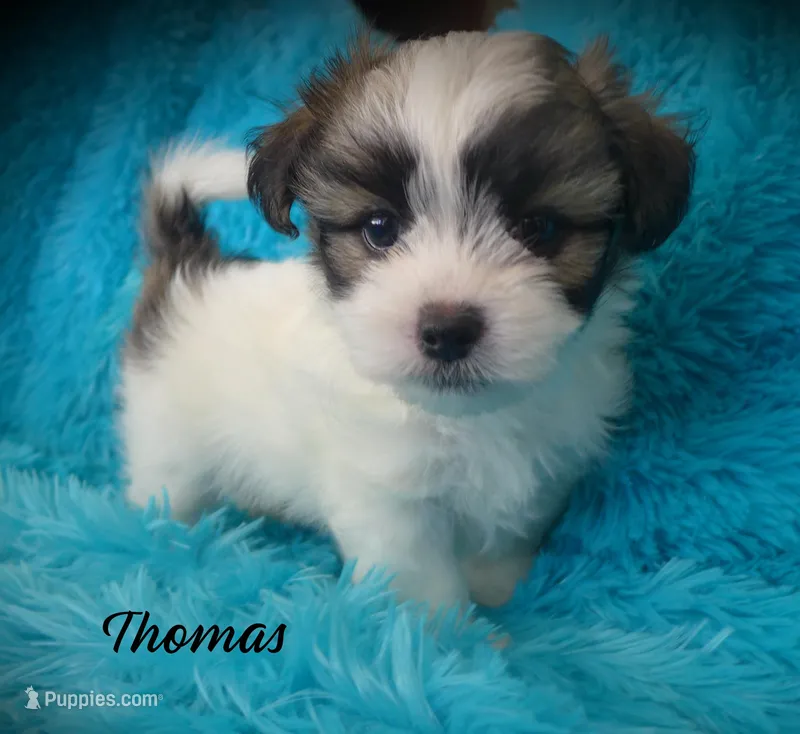 Thomas~RESERVED
