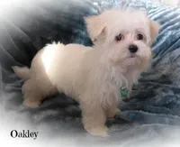 processed/669ab3db-2001-473f-bf0a-d1ad31389330/listing/8024c1e5-bc90-4d24-95a1-2f8ccbd1151c/2b953f78-29c3-4cb6-9aa8-c5bfd77c9434