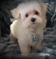 processed/669ab3db-2001-473f-bf0a-d1ad31389330/listing/8024c1e5-bc90-4d24-95a1-2f8ccbd1151c/7980b00e-77c0-404f-bb47-ef4157068a4e