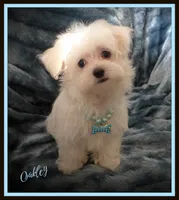 processed/669ab3db-2001-473f-bf0a-d1ad31389330/listing/8024c1e5-bc90-4d24-95a1-2f8ccbd1151c/e7a0730a-f7c6-48a1-a585-d0e644bc2b00