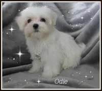 processed/669ab3db-2001-473f-bf0a-d1ad31389330/listing/b302bc2e-b940-4eda-83e5-bb11ee24f18a/290ce3c2-20e5-435a-85aa-bafe613b85be