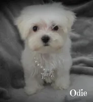 processed/669ab3db-2001-473f-bf0a-d1ad31389330/listing/b302bc2e-b940-4eda-83e5-bb11ee24f18a/644d8f3b-a16c-4afd-9445-14c73e3f9d84