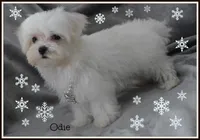 processed/669ab3db-2001-473f-bf0a-d1ad31389330/listing/b302bc2e-b940-4eda-83e5-bb11ee24f18a/8a9adeda-75e4-4e5d-8b3f-3b21ab7d0414