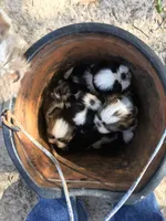 processed/669ef7a4-d869-46d9-98f5-9c9b30eeb613/facility/2a1afd5d-b0e7-4cbe-8d95-bf60edc7ccd5