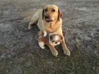 processed/669ef7a4-d869-46d9-98f5-9c9b30eeb613/facility/68351380-ad79-48de-9e77-5a4cb101e2c8