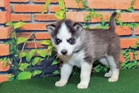 processed/66a98282-de13-4060-acf9-8533e6fba297/listing/ea4e70b8-fa15-4391-94ad-ac676ef89d1d/141cf841-fad9-426f-be1f-040d3f33e40f