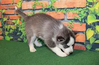 processed/66a98282-de13-4060-acf9-8533e6fba297/listing/ea4e70b8-fa15-4391-94ad-ac676ef89d1d/174ad7a4-8c93-4a68-aeed-98a84bb63277