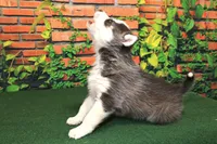 processed/66a98282-de13-4060-acf9-8533e6fba297/listing/ea4e70b8-fa15-4391-94ad-ac676ef89d1d/405a9391-ef55-4d35-8913-be90fb1acb8c