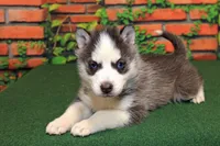 processed/66a98282-de13-4060-acf9-8533e6fba297/listing/ea4e70b8-fa15-4391-94ad-ac676ef89d1d/54f7432b-6b64-4d93-9861-5d464dfab799