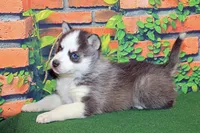 processed/66a98282-de13-4060-acf9-8533e6fba297/listing/ea4e70b8-fa15-4391-94ad-ac676ef89d1d/f7a05a75-47ac-45a4-8b89-5bbb0aee8914