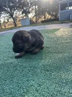 processed/66ac63a0-8e74-4412-95c0-7c71c7b3b4de/facility/f67dc945-df12-4f93-90c8-106abc761e1f