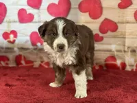 processed/66c0e4d1-c5e9-4cce-a321-a548888a8623/listing/1d2384d7-f900-47d8-8640-e6bb4e3f6dcc/21687ed7-1f5b-472b-84ef-4da9ac0fe1c0