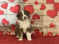 processed/66c0e4d1-c5e9-4cce-a321-a548888a8623/listing/1d2384d7-f900-47d8-8640-e6bb4e3f6dcc/2338d05c-fe16-4f46-8d01-24b1d9ca2986