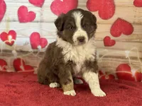 processed/66c0e4d1-c5e9-4cce-a321-a548888a8623/listing/1d2384d7-f900-47d8-8640-e6bb4e3f6dcc/5fd9801d-17f1-4ab6-a89d-4fcc50efeaf1