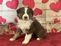 processed/66c0e4d1-c5e9-4cce-a321-a548888a8623/listing/1d2384d7-f900-47d8-8640-e6bb4e3f6dcc/bd61c6c6-68a4-4a76-9107-b42026887724