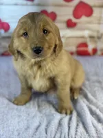 processed/66c0e4d1-c5e9-4cce-a321-a548888a8623/listing/5627802e-469a-4105-b11f-e90bd1d6eec4/5891da62-1457-4af6-92c0-d4530b6d89c1