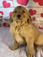 processed/66c0e4d1-c5e9-4cce-a321-a548888a8623/listing/5627802e-469a-4105-b11f-e90bd1d6eec4/f3378c29-3e34-4857-8228-02ceafb21b9b