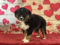 processed/66c0e4d1-c5e9-4cce-a321-a548888a8623/listing/65091f1d-b04b-40d8-9076-54708e167797/2f29c5c0-28db-461a-905b-e804fd779c8d