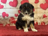 processed/66c0e4d1-c5e9-4cce-a321-a548888a8623/listing/65091f1d-b04b-40d8-9076-54708e167797/6eeb5021-942b-4e33-ba5d-fe1cb42d9952