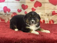 processed/66c0e4d1-c5e9-4cce-a321-a548888a8623/listing/65091f1d-b04b-40d8-9076-54708e167797/72626b4a-3008-4998-8e3b-edd3864418f8