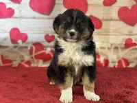 processed/66c0e4d1-c5e9-4cce-a321-a548888a8623/listing/65091f1d-b04b-40d8-9076-54708e167797/85cf4f01-0dce-4278-bc77-47524f0c61d0