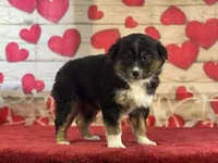 processed/66c0e4d1-c5e9-4cce-a321-a548888a8623/listing/65091f1d-b04b-40d8-9076-54708e167797/c9de45ce-dcd4-44a9-8ef2-c8b9e8483680