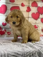 processed/66c0e4d1-c5e9-4cce-a321-a548888a8623/listing/6cb8cefe-4a47-41dd-9ac7-78f0e841a334/116c5fe1-3857-480e-93ae-c6985425dd44