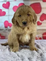 processed/66c0e4d1-c5e9-4cce-a321-a548888a8623/listing/6cb8cefe-4a47-41dd-9ac7-78f0e841a334/5f5d6ab7-8c27-4e48-8d0e-b2e886bb5e65