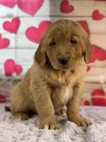 processed/66c0e4d1-c5e9-4cce-a321-a548888a8623/listing/6cb8cefe-4a47-41dd-9ac7-78f0e841a334/a6112b28-30ee-4079-a511-acf42d24eb88