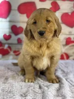 processed/66c0e4d1-c5e9-4cce-a321-a548888a8623/listing/6cb8cefe-4a47-41dd-9ac7-78f0e841a334/dbb2dcfa-6578-4f23-84a6-ba7faed60a28