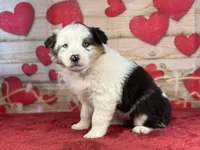 processed/66c0e4d1-c5e9-4cce-a321-a548888a8623/listing/70d65d1a-bb0c-419a-9c82-b0d9fc93ca61/2cc9820c-e375-4f25-89b0-15e078c77f28