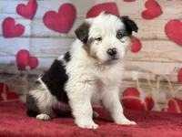 processed/66c0e4d1-c5e9-4cce-a321-a548888a8623/listing/70d65d1a-bb0c-419a-9c82-b0d9fc93ca61/83910ed9-9682-4651-a82a-b9b9a98473c1