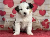 processed/66c0e4d1-c5e9-4cce-a321-a548888a8623/listing/70d65d1a-bb0c-419a-9c82-b0d9fc93ca61/bece6779-fc88-431d-b0ed-2a6ecd6edbfd