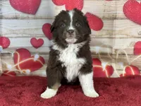 processed/66c0e4d1-c5e9-4cce-a321-a548888a8623/listing/73491961-f805-4415-a6d8-bfd483552188/252858a5-a96d-4cd0-b2fe-0ad3fd4aaf08