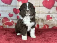 processed/66c0e4d1-c5e9-4cce-a321-a548888a8623/listing/73491961-f805-4415-a6d8-bfd483552188/37d5ec63-0cc2-426f-ab42-66caa742430d