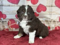 processed/66c0e4d1-c5e9-4cce-a321-a548888a8623/listing/73491961-f805-4415-a6d8-bfd483552188/547f282a-395a-4cea-8df4-c070c0bcbae1