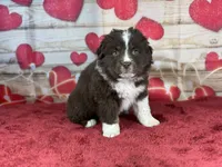 processed/66c0e4d1-c5e9-4cce-a321-a548888a8623/listing/73491961-f805-4415-a6d8-bfd483552188/d6b9b890-c957-4723-8bd1-9a23cc09034b