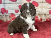 processed/66c0e4d1-c5e9-4cce-a321-a548888a8623/listing/73491961-f805-4415-a6d8-bfd483552188/da253dd1-6f39-417f-b1fa-54426f0bc913