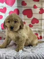 processed/66c0e4d1-c5e9-4cce-a321-a548888a8623/listing/8c4ddc8d-0109-4e0d-a543-bb8cfdab2816/206bcbd7-c373-4c44-9bf9-1723573e99a1