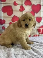 processed/66c0e4d1-c5e9-4cce-a321-a548888a8623/listing/8c4ddc8d-0109-4e0d-a543-bb8cfdab2816/43bd0cf3-eaa9-48d3-bfca-0ae412fcb085