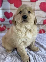 processed/66c0e4d1-c5e9-4cce-a321-a548888a8623/listing/8c4ddc8d-0109-4e0d-a543-bb8cfdab2816/c4c1c79a-2fb6-4f6f-ac44-caf03500905d