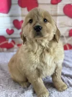 processed/66c0e4d1-c5e9-4cce-a321-a548888a8623/listing/8c4ddc8d-0109-4e0d-a543-bb8cfdab2816/e2b792f6-3e1b-4a23-bb57-8b0677bc756a