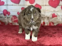 processed/66c0e4d1-c5e9-4cce-a321-a548888a8623/listing/c60dabbb-35d6-4d8a-9142-651938a90bf4/0a1d3d3c-28e2-4b02-97a0-7d39b8262f74