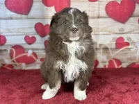 processed/66c0e4d1-c5e9-4cce-a321-a548888a8623/listing/c60dabbb-35d6-4d8a-9142-651938a90bf4/8a3744e2-09c6-41e1-97aa-3a51df450f25