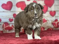 processed/66c0e4d1-c5e9-4cce-a321-a548888a8623/listing/c60dabbb-35d6-4d8a-9142-651938a90bf4/e581798a-fba1-488a-99c0-46660e3a281d