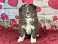 processed/66c0e4d1-c5e9-4cce-a321-a548888a8623/listing/c60dabbb-35d6-4d8a-9142-651938a90bf4/e75cc2ea-e29d-422f-8d09-f549ebf33929