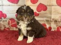 processed/66c0e4d1-c5e9-4cce-a321-a548888a8623/listing/ec2b2d00-420c-437c-a75a-e403fc884c4b/06ea55c0-605b-484c-88b4-ba07283c45c2