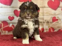 processed/66c0e4d1-c5e9-4cce-a321-a548888a8623/listing/ec2b2d00-420c-437c-a75a-e403fc884c4b/7d4dac56-04dd-48d6-bdd3-d484f505ec15