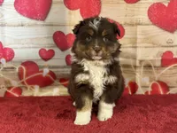 processed/66c0e4d1-c5e9-4cce-a321-a548888a8623/listing/ec2b2d00-420c-437c-a75a-e403fc884c4b/a0bc2b6b-8ee3-4255-bfaf-187f0a06150b