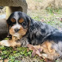 processed/66d1a18c-7cdb-4ad5-b1b0-88513a7c6186/facility/58700705-5206-4feb-860d-661d3885ebbf